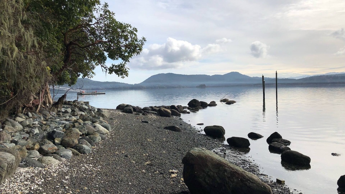 Sooke Cottage | 6 Cottage Units with Waterfront and Beach Access - Sleeps up to 20 Guests