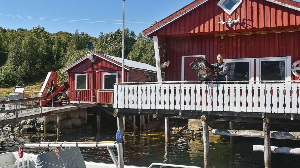 Oksvoll House | 6 person holiday home in Oksvoll