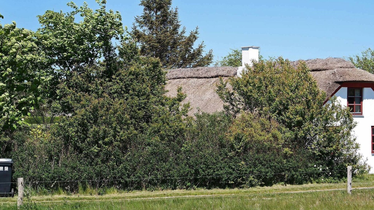 Vesløs House | 6 person holiday home in Vesløs