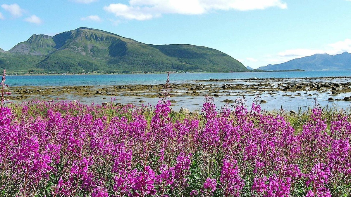 Hadsel House | 6 person holiday home in Hennes