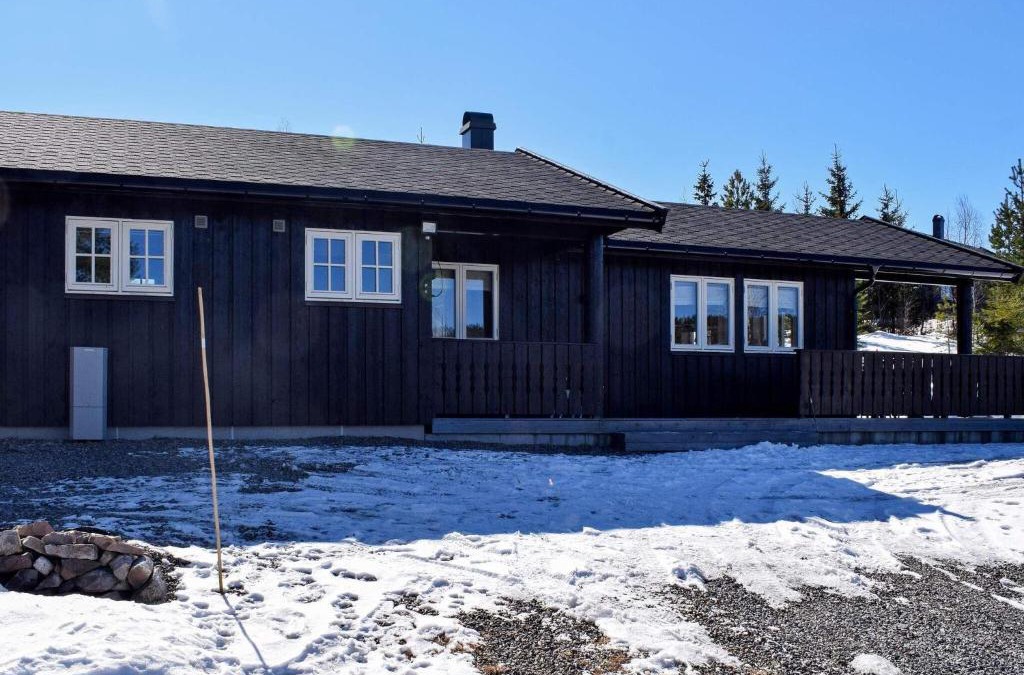 Lardal Municipality House | 6 person holiday home in Passebekk-By Traum