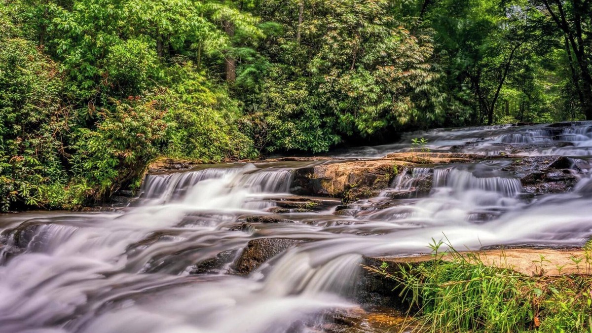 Wiley Hotel | #6 Waterfall Retreat Private Room-Shared Decking/Fire Pits-No Pets