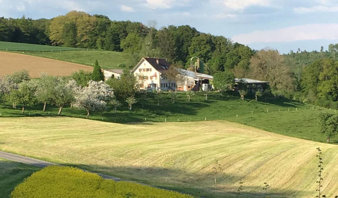 Schneisingen Apartment | 60 m² Apartment ∙ 2 bedrooms ∙ 4 guests