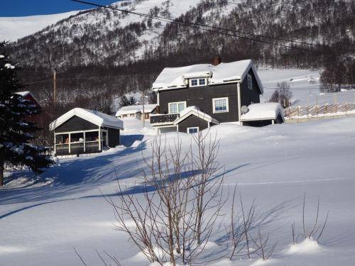 Hol Municipality Apartment | 60 m² Apartment ∙ 1 bedroom ∙ 4 guests