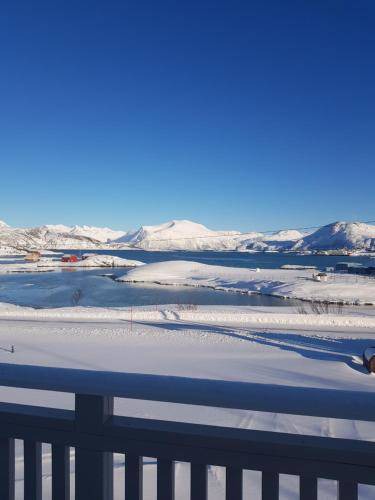 Sommarøy Apartment | 60 m² Apartment ∙ 2 bedrooms ∙ 4 guests