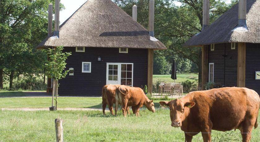 Municipality of Wierden House | 60 m² Farmhouse ∙ 2 bedrooms ∙ 5 guests
