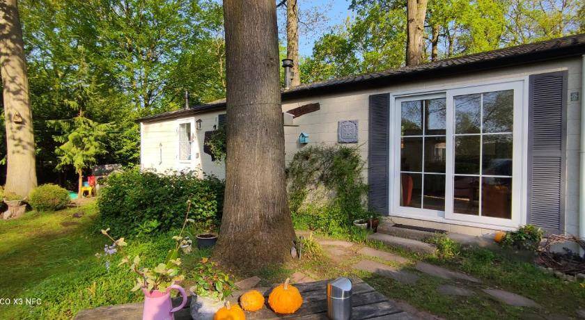 Municipality of Wageningen House | 60 m² House ∙ 2 bedrooms ∙ 4 guests