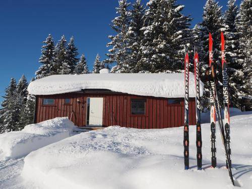 Lillehammer Cabin | 60 m² Lodge ∙ 2 bedrooms ∙ 5 guests