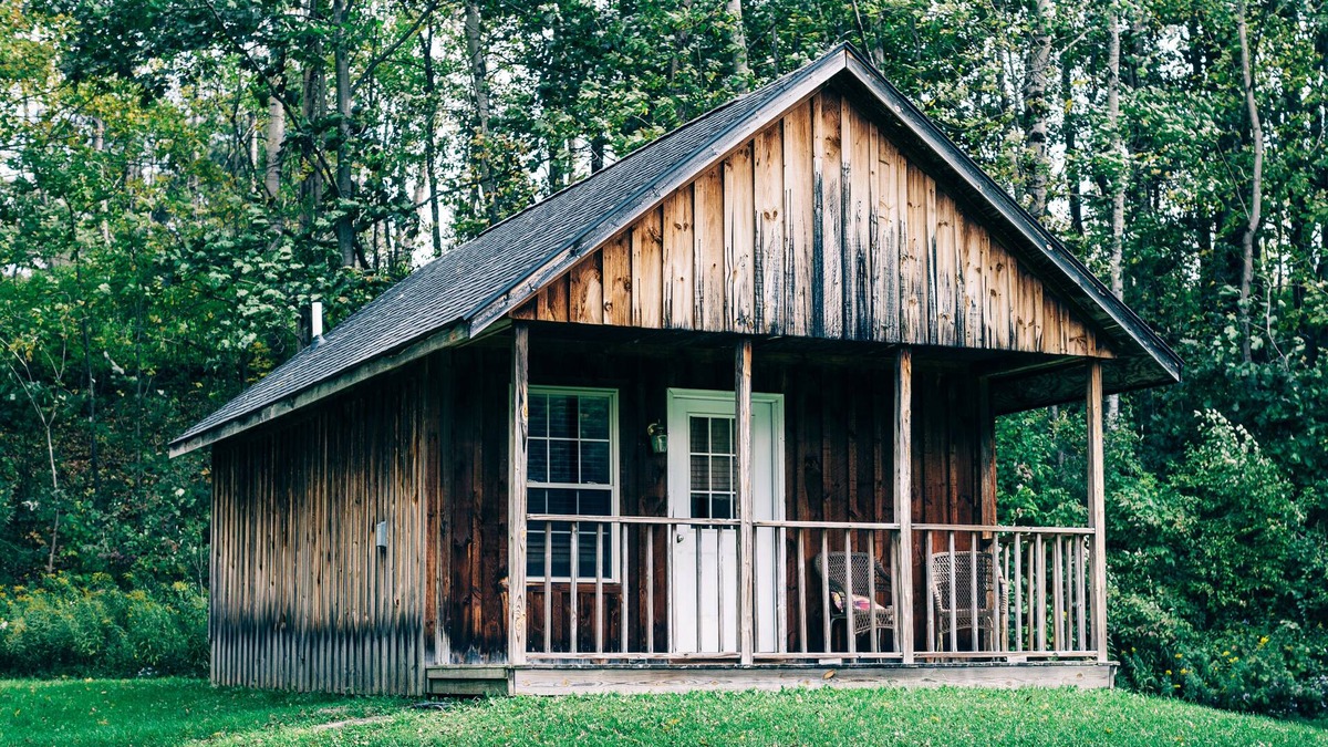 Blodgett Mills Cabin | 600 Sq. ft Cabin with King Size Bed - Quiet Location, Close to Skiing