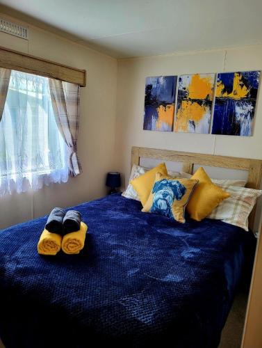 Prestonpans Resort | 61 St Andrew's 3 bedroom Caravan near Edinburgh Seton Sands Holiday Village