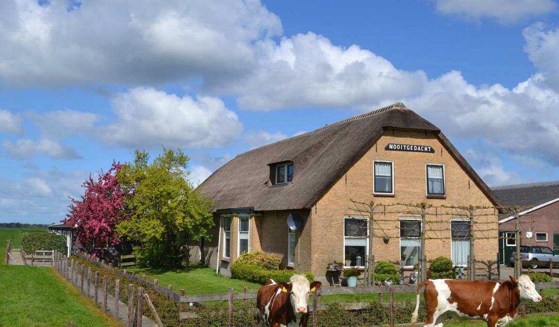 Gelderswoude Apartment | 65 m² Apartment ∙ 2 bedrooms ∙ 5 guests