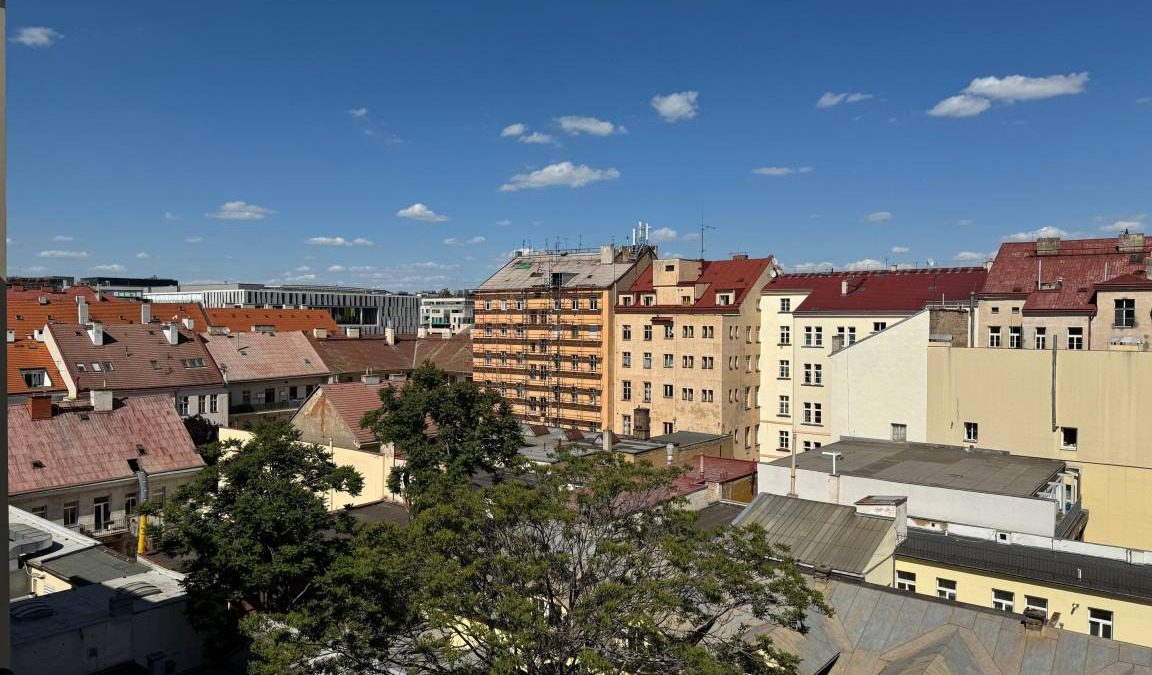 Karlin Apartment | 65 m² Apartment ∙ 1 bedroom ∙ 4 guests