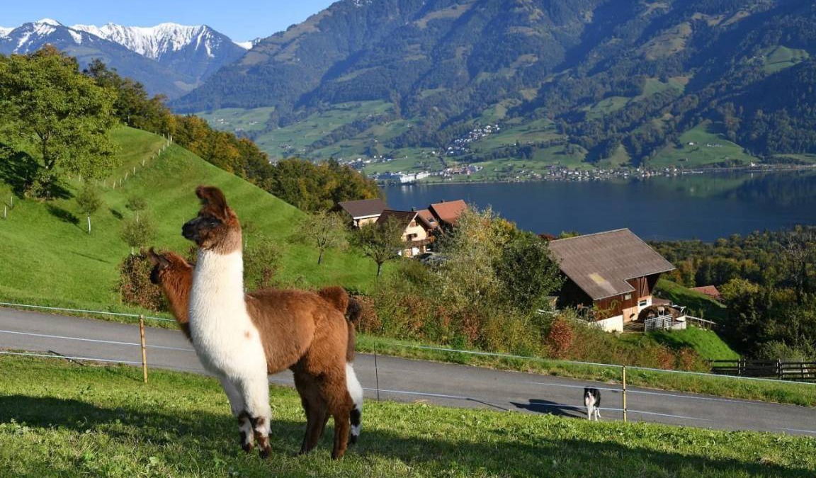 Sarnen House | 65 m² House ∙ 2 bedrooms ∙ 4 guests