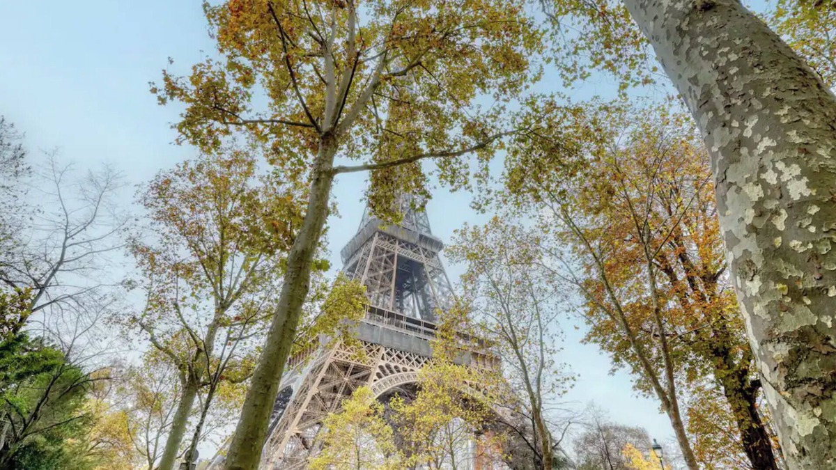 Quartier du Gros-Caillou Apartment | [65m2]Luxury 2 bdr - Eiffel Tower