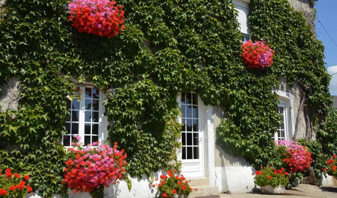Doville House | 66 m² Gîte ∙ 2 bedrooms ∙ 4 guests