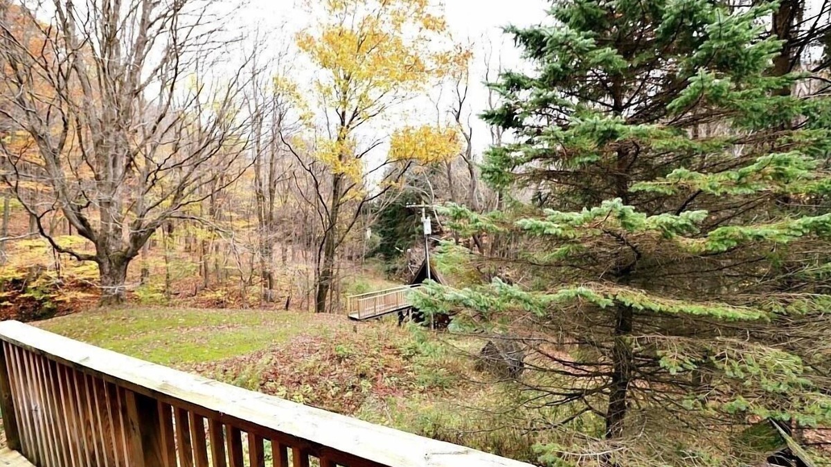 Little Valley Cabin | 6910 Maples Road 3 Bedroom Home by RedAwning