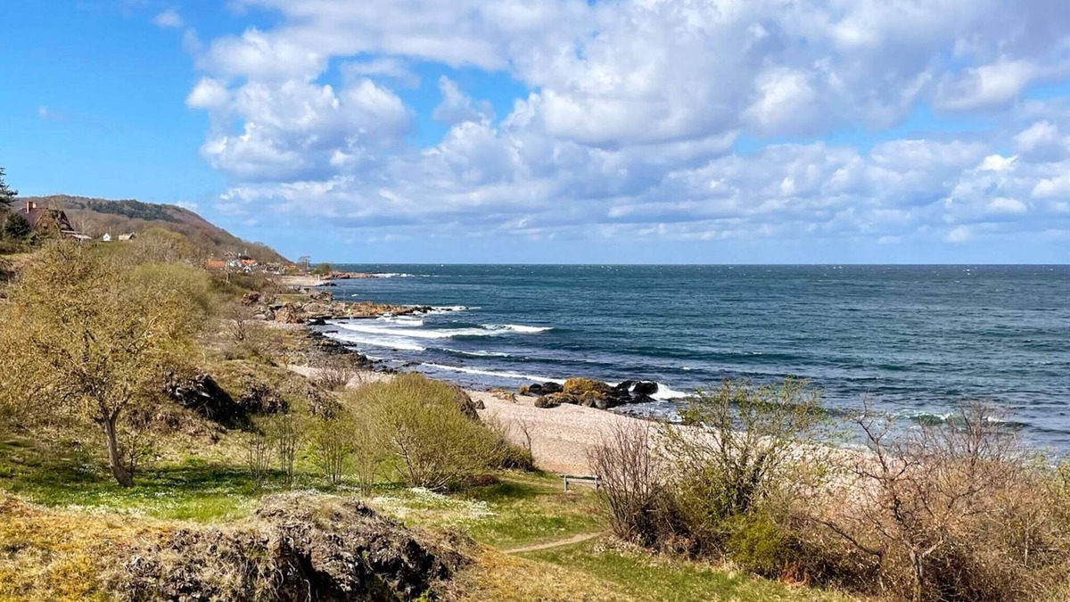 Arild House | 7 person holiday home in ARILD