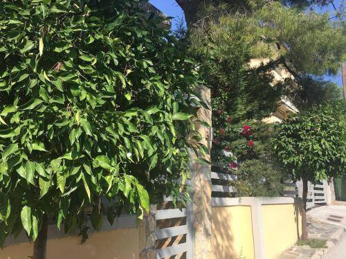 Kifisia Apartment | 70 m² Apartment ∙ 1 bedroom ∙ 4 guests
