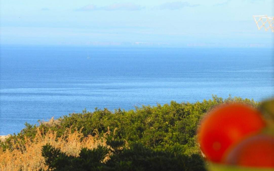 Vale de Centianes Apartment | 70 m² Apartment ∙ 2 bedrooms ∙ 3 guests