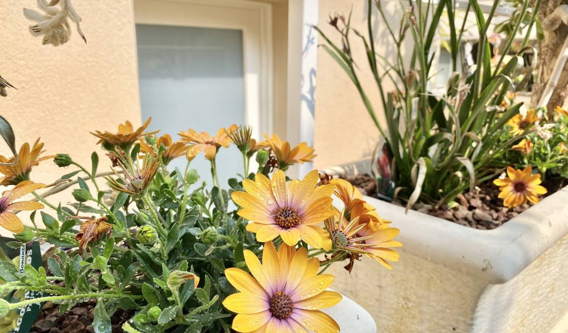 Limone sul Garda Apartment | 78 m² Apartment ∙ 2 bedrooms ∙ 5 guests