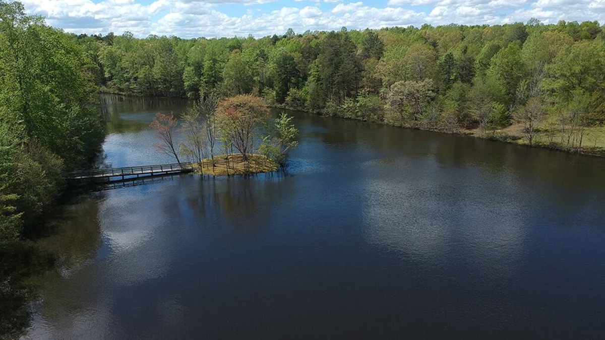 Louisa House | 8 Acre Private Lake w/Island, & 4 Unique Rentals!