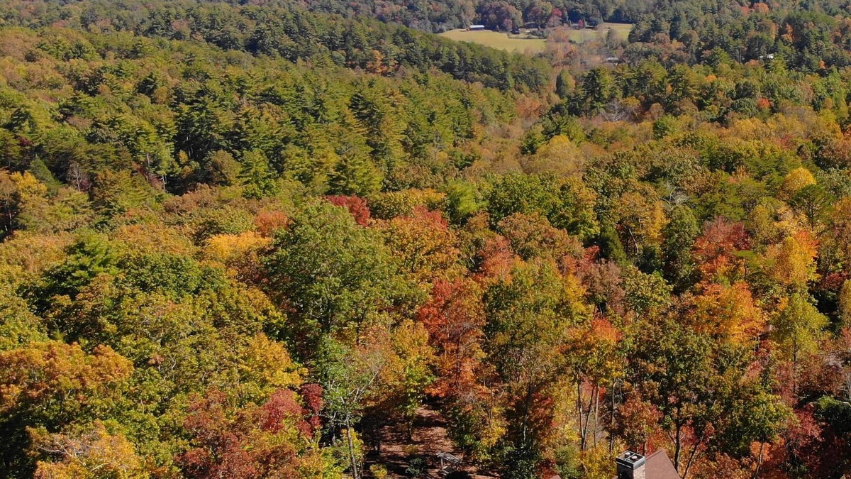 Hidden Lake Cabin | 8 min to BR Lux Lodge, new hot tub, views, all paved roads, and game room.