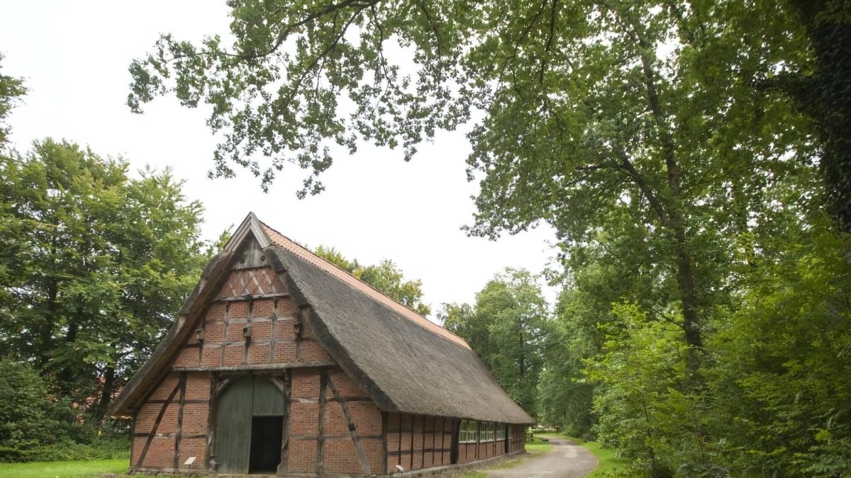 Dwergte House | 8-person dog bungalow in the holiday park Landal Dwergter Sand