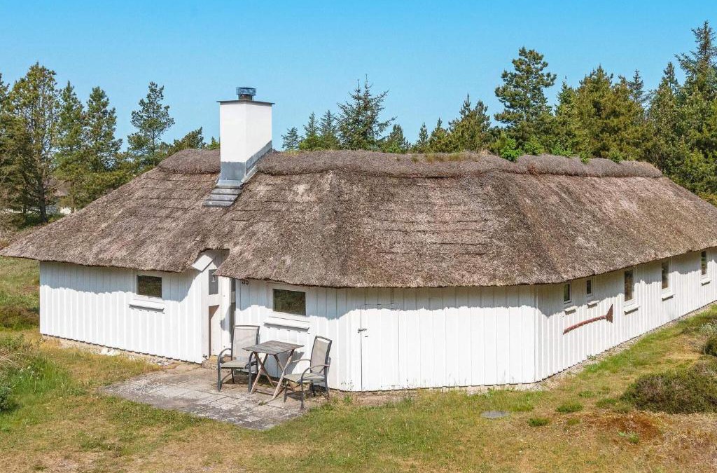 Fjerritslev House | 8 person holiday home in Fjerritslev-By Traum