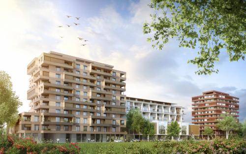 Risch Apartment | 80 m² Apartment ∙ 1 bedroom ∙ 2 guests