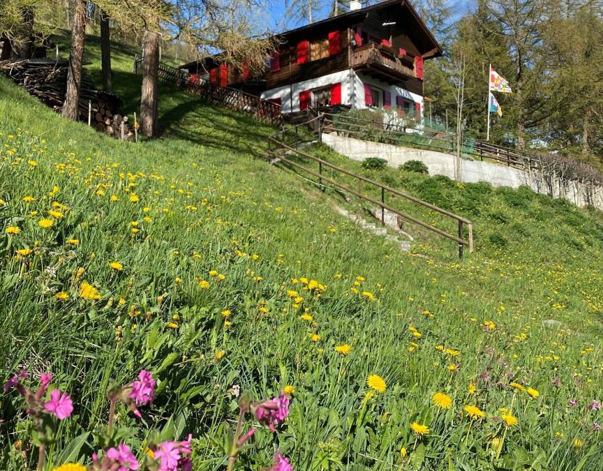 Toerbel Apartment | 80 m² Apartment ∙ 2 bedrooms ∙ 6 guests