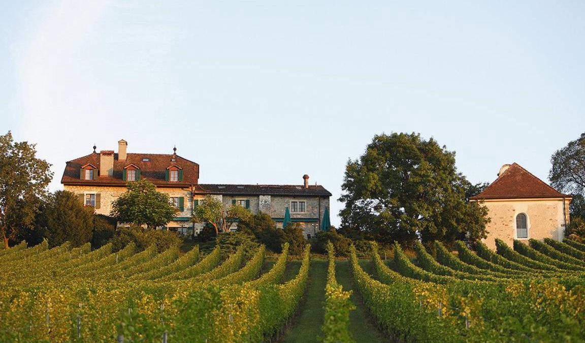Peney-Dessus Hotel | 80 m² Hotel ∙ 127 guests