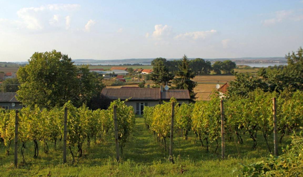 Milovice Villa | 80 m² Villa ∙ 3 bedrooms ∙ 6 guests