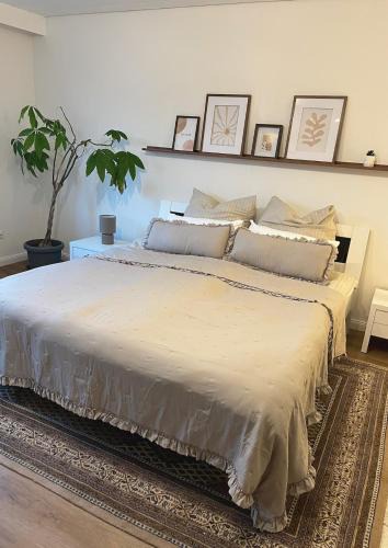 Priesendorf Apartment | 80 qm Stadtnahes Domizil im Grünen