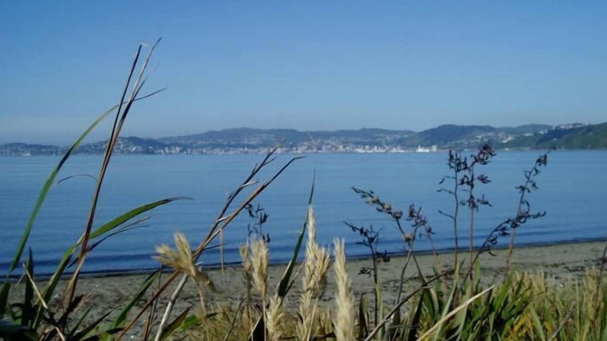Petone Hotel | 83 By the Sea Motor Lodge