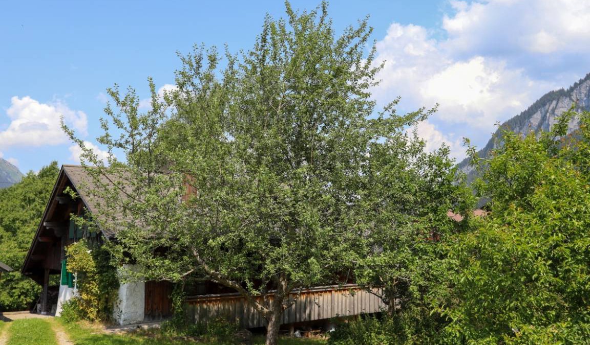 Chateau-d'Oex Apartment | 85 m² Apartment ∙ 2 bedrooms ∙ 4 guests