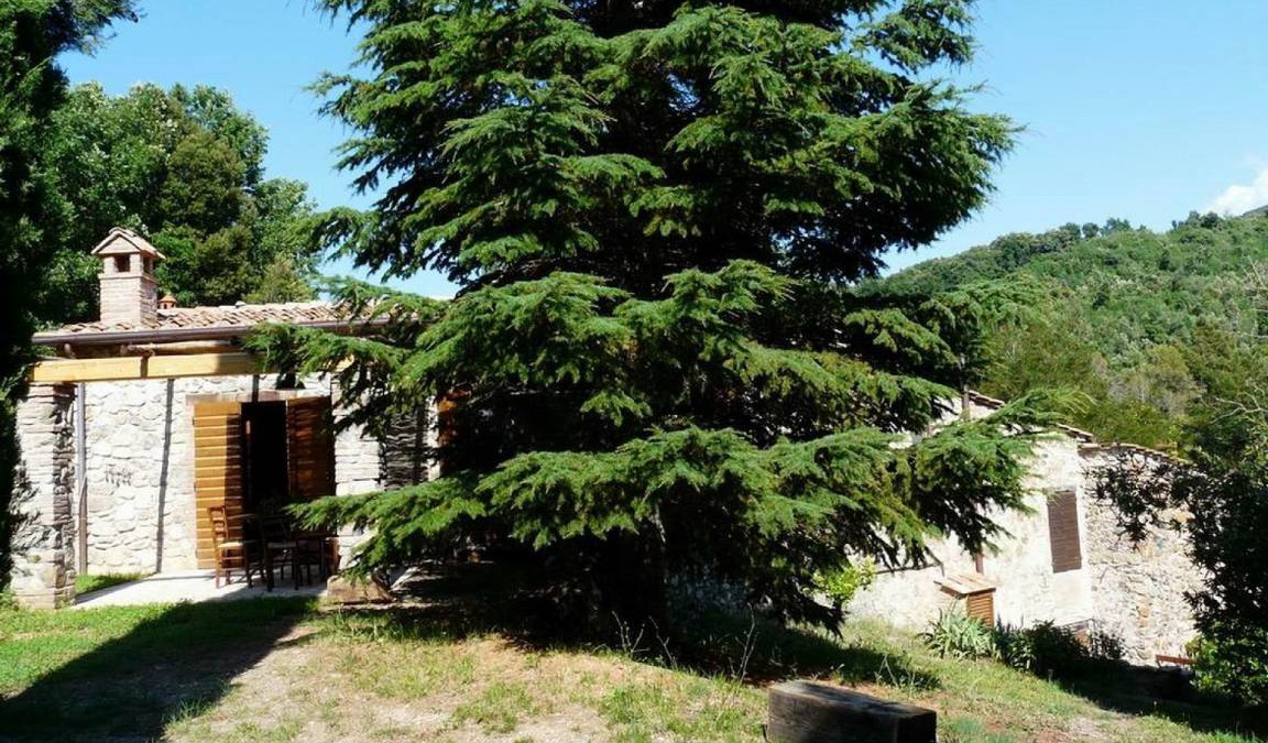 Pomaia Apartment | 85 m² Apartment ∙ 3 bedrooms ∙ 7 guests