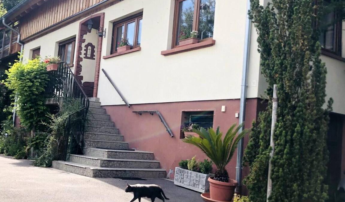 Bischwiller Bed & Breakfast | 90 m² Bed and breakfast ∙ 2 bedrooms ∙ 4 guests