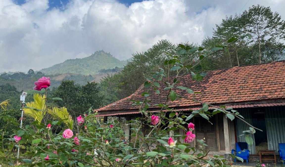 Phu Yen Bed & Breakfast | 90 m² Bed and breakfast ∙ 8 guests