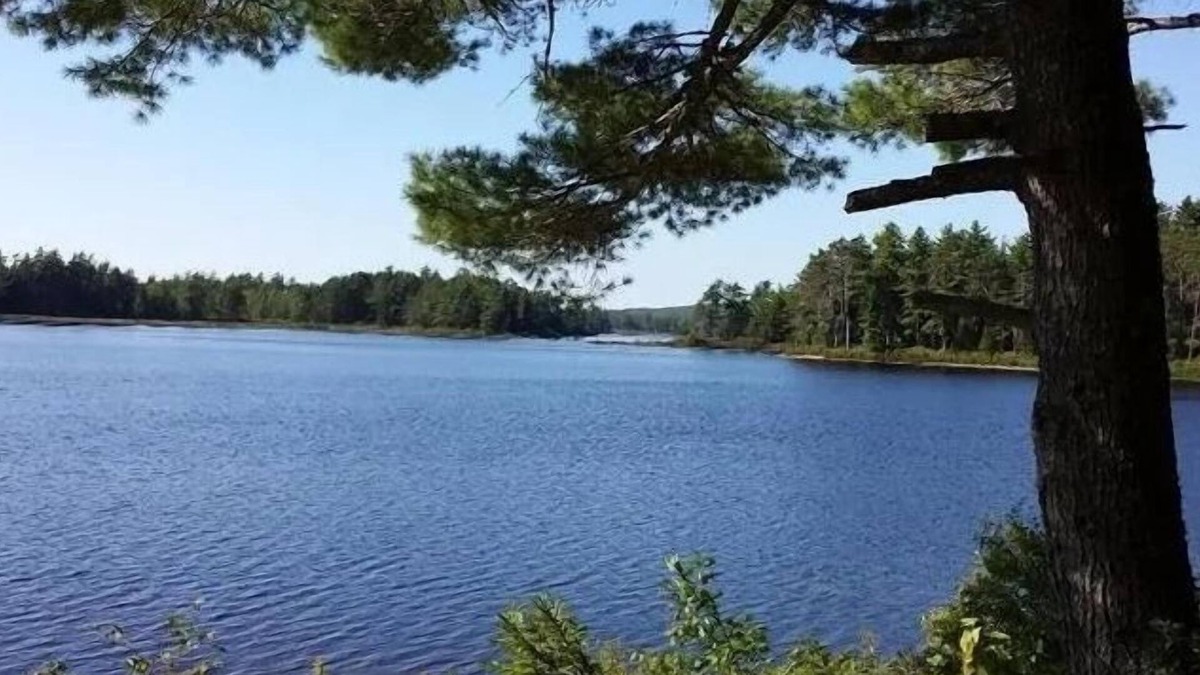 Deblois Cabin | 900 sq/ft off-grid cabin nestled on Upper Cranberry Lake. Pet Friendly!