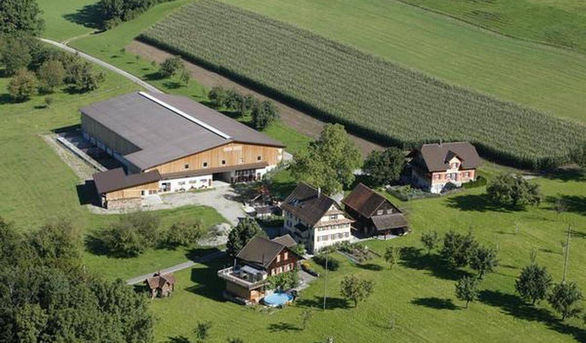 Hohenrain Apartment | 96 m² Apartment ∙ 2 bedrooms ∙ 5 guests