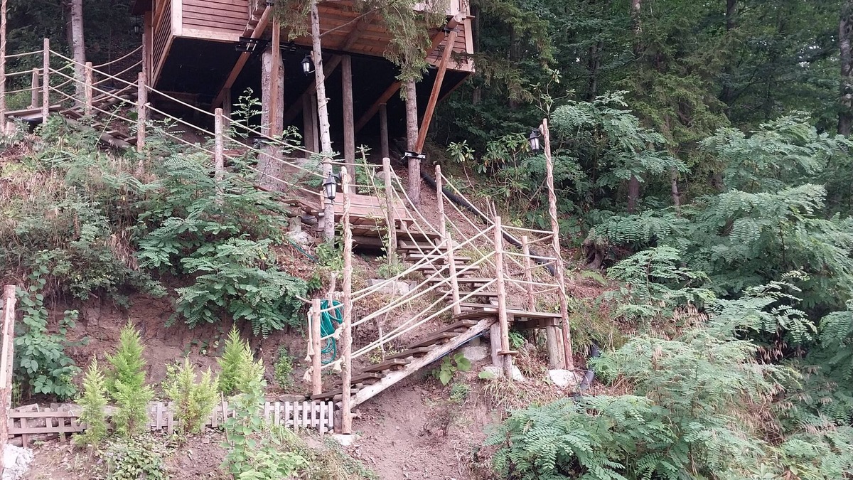 Trabzon House | Ağacevkilat