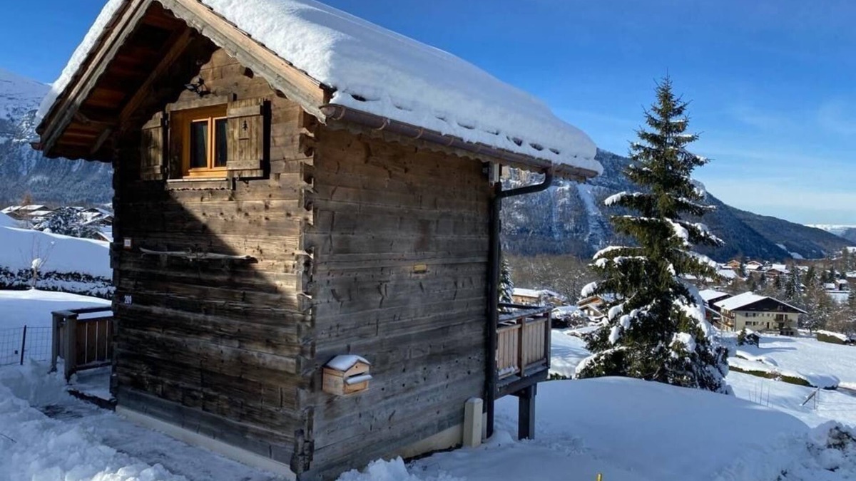 Les Carroz-d'Araches Ski Chalet | A 50 m des Pistes, Joli Mazot de Bois Traditionnel, Belles Prestations