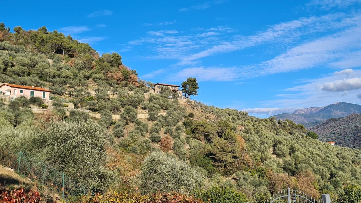 Dolceacqua House | A beautiful house, a private pool and a view to dream of