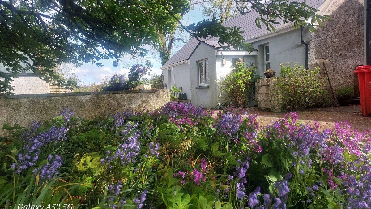 Mayour Villa | A beautiful house in the Center of Ireland