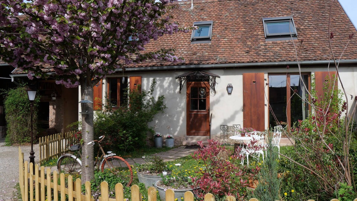 Hilsenheim House | A bouquet on a roof