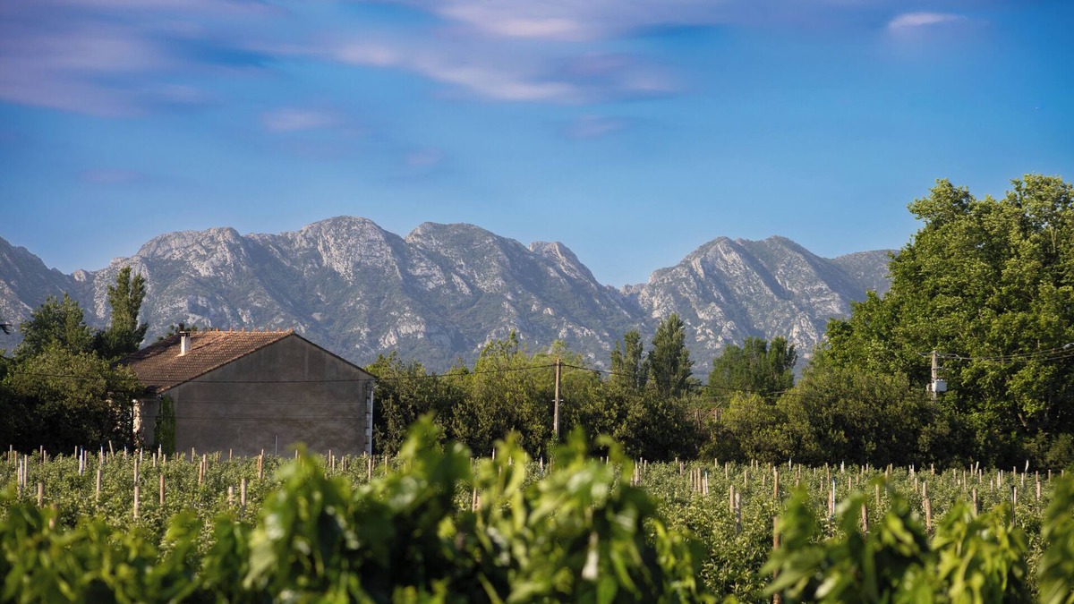 Molleges House | A break between Alpilles and Luberon, houses of saffron and liquorice