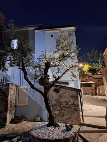 Piedimonte San Germano Bed & Breakfast | A Casa di Lucia-Appartamento Deluxe