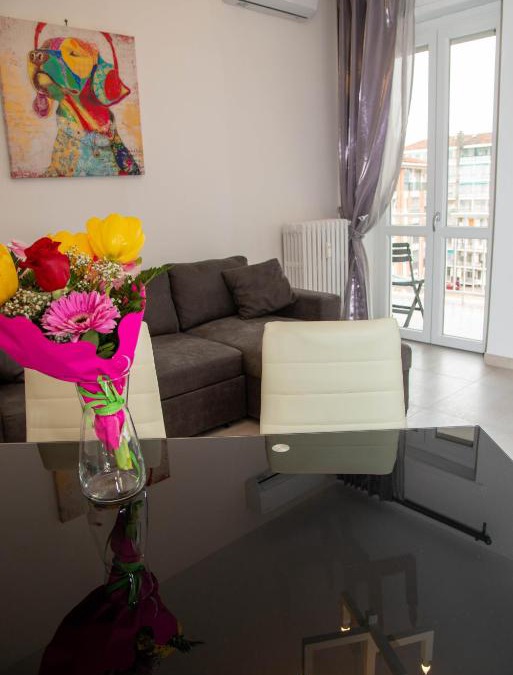 Mirafiori Sud Apartment | A casa di Ivy e Baby