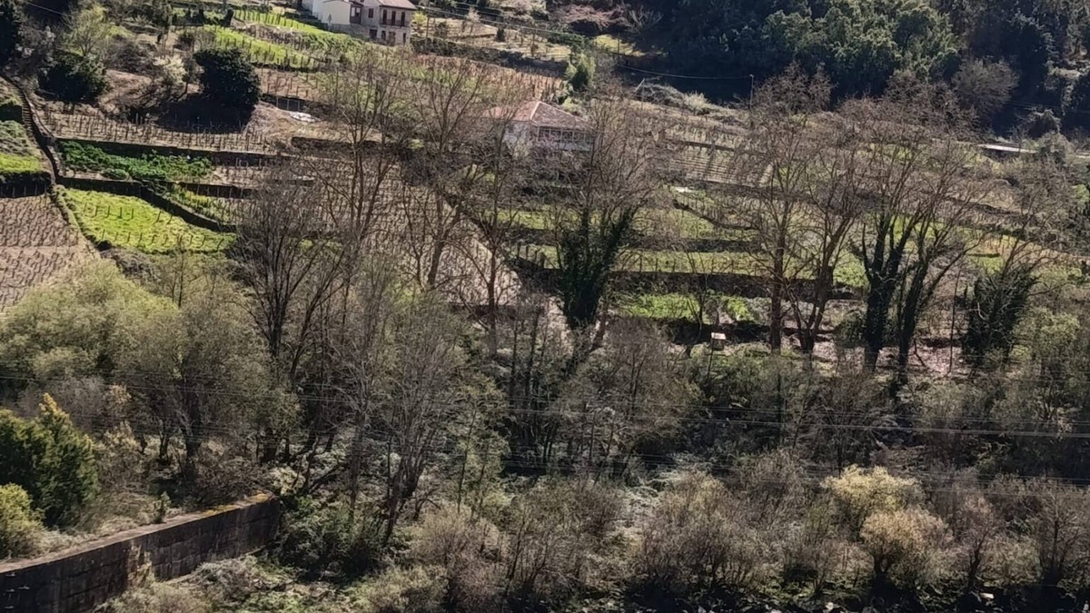 Castrelo de Mino House | A Casiña de Morgan. O Mar de Ribeiro