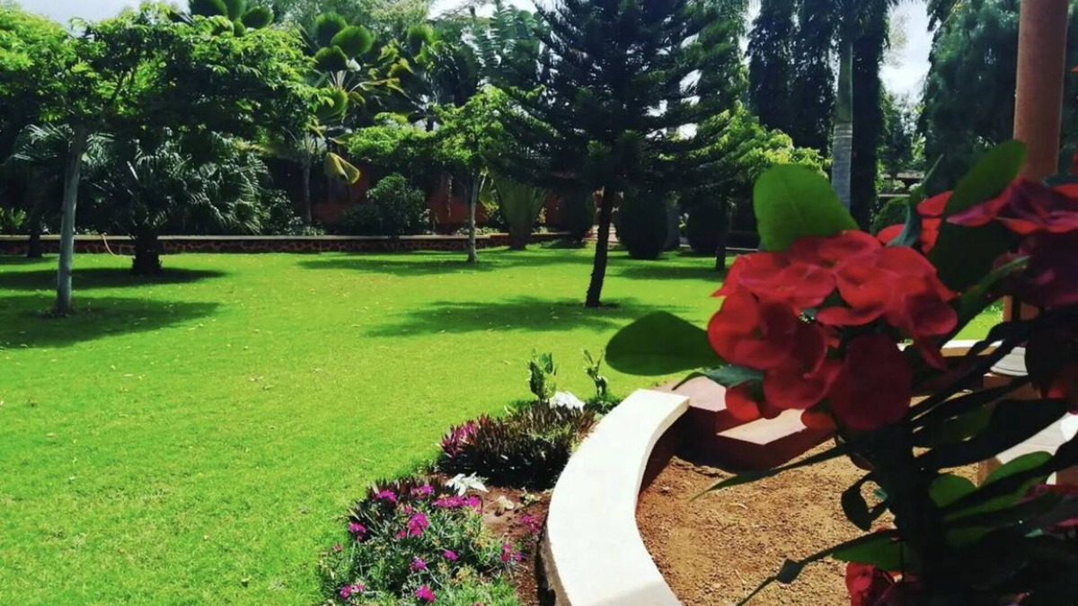 Moshi Bed & Breakfast | A charming, child-friendly luxury villa in the outskirt of Moshi